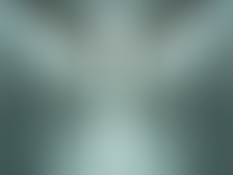 Mentoría Efectiva en Materialidad Fiscal para Pequeñas Empresas