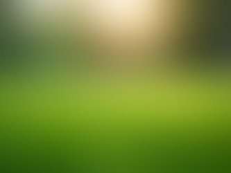 Expert Lawn Care Solutions for Beautiful Landscapes