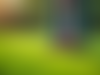 Quality Grass Cutting and Irrigation Services Near You