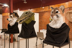 Tooth and Claw, Hoof and Horn