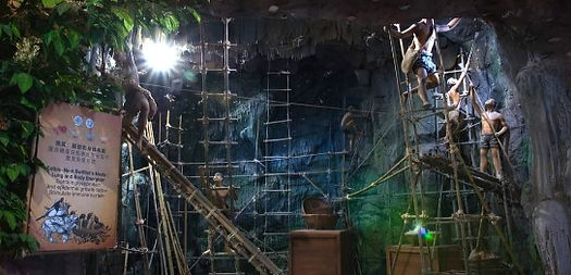 Project: Herbarium Pattaya