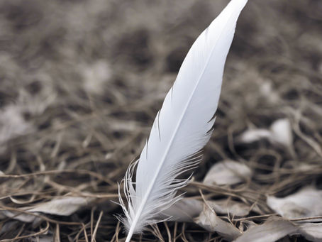 Experience Spirit Connections: Find the Right Psychic Readings Online