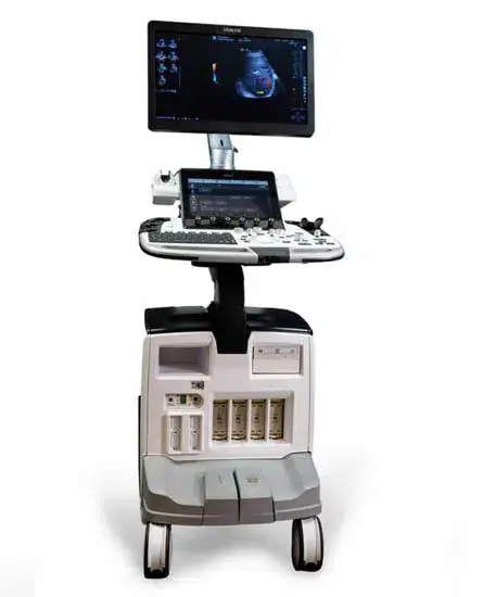 GE Logiq E10