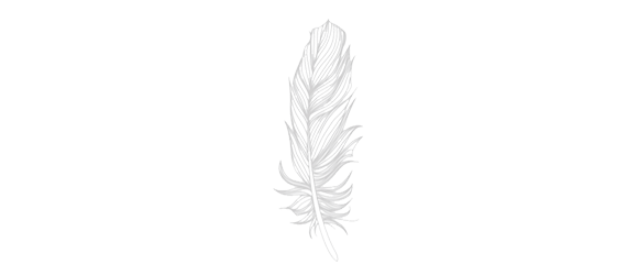 background-04.png_id=268.png