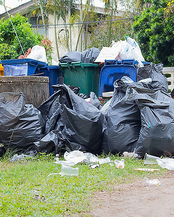 garbage.jpg
