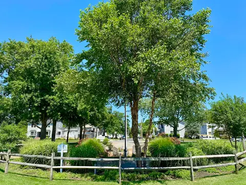 Lush green park with mature trees, shrubs, wooden fence, clear blue sky. | Down To Earth Landscaping | Jackson New Jersey, USA (732) 833-7702