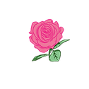 rose_pink.png