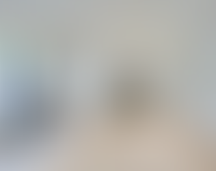 Compact yet functional entry-level lounge with minimalist design in Trinity Bellwoods, Toronto