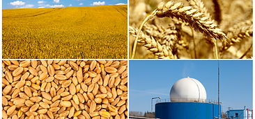 biomass-biogas-heating