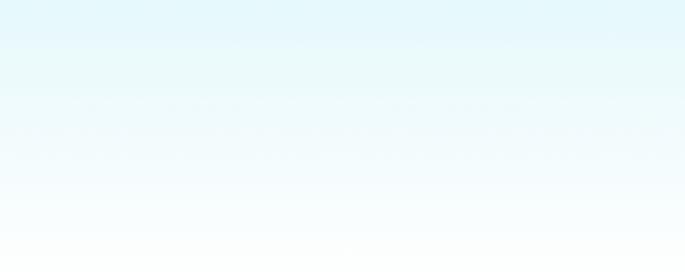 Section.png