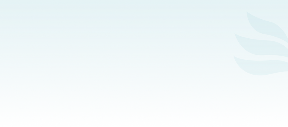 Section.png