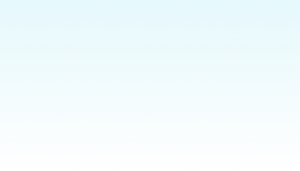 Section.png