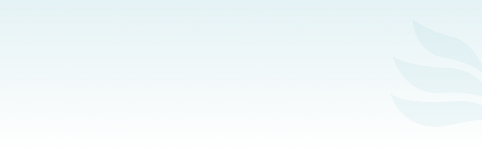 Section.png