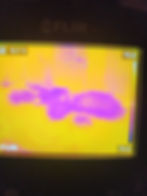 Thermal image of water damage location in home