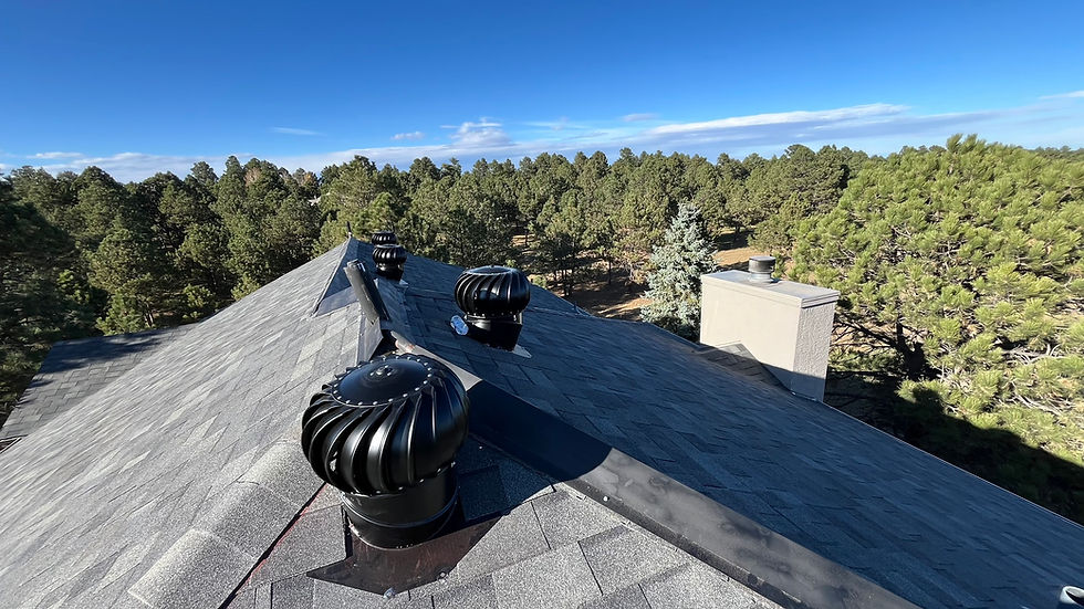 Turtle vents for attic ventilation on a home