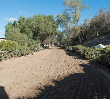 Screen Shot 2022-12-13 at 9.23.06 PM.png