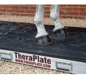 Screen Shot 2022-12-06 at 11.43.24 PM.png