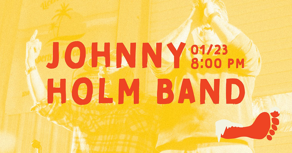 The Johnny Holm Band