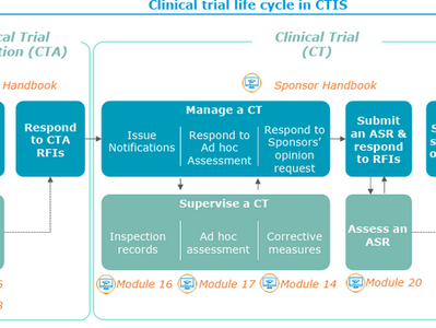 EMA’s CTIS Framework: Decoding the EMA Clinical Trial Information System-A Practical Guide for Sponsors