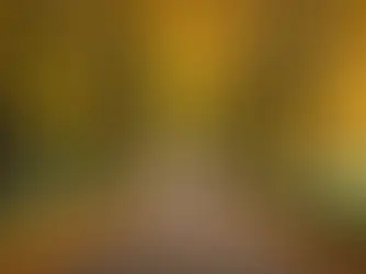 Embracing the Mystery: Anticipating an Exciting Year Ahead!