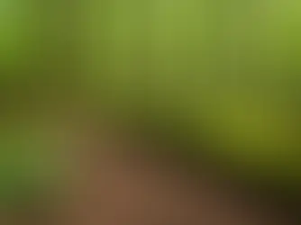 Unlocking the Power Within: 7 Chakra Affirmations to Ignite Your Soul's Fire