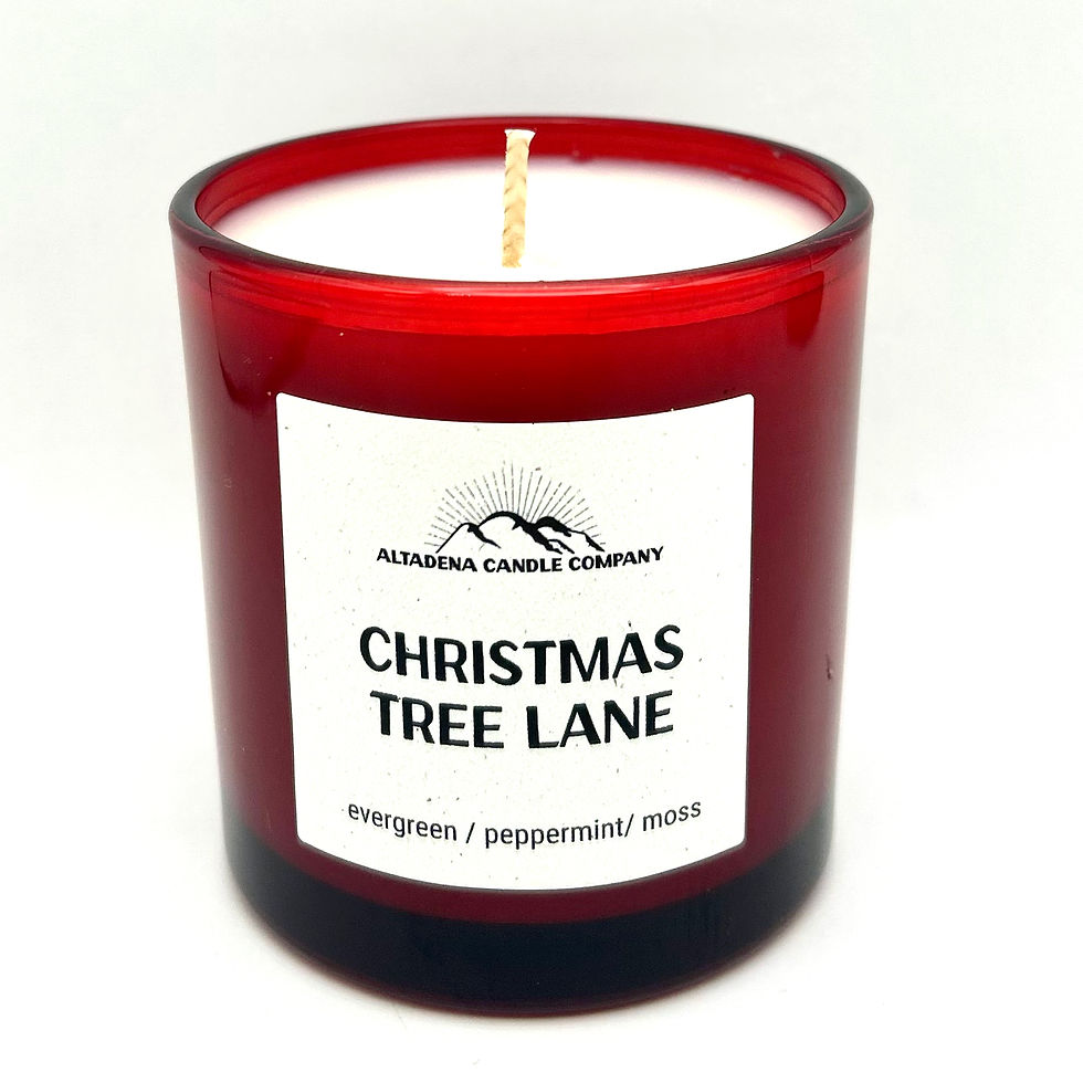 Christmas Tree Lane soy candle