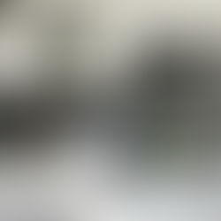 Saying Goodbye to the "Dark, Dingy Kitchen": Client Reveal