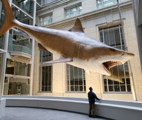 Patuxent Engineering Group | Structural Engineers in Maryland, NJ & FL