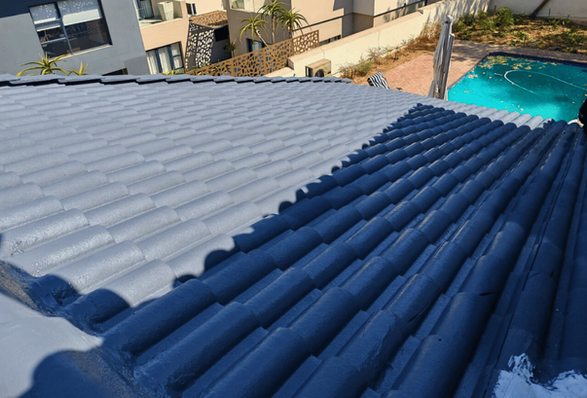 CIC Projects Roof panting Kyalami Estate