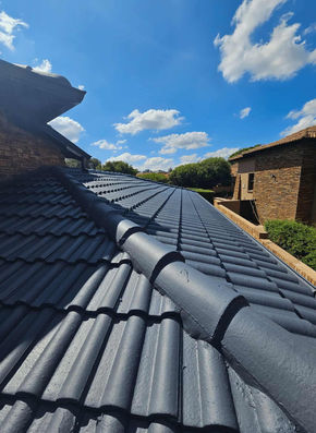 CIC Projects Roof Painting