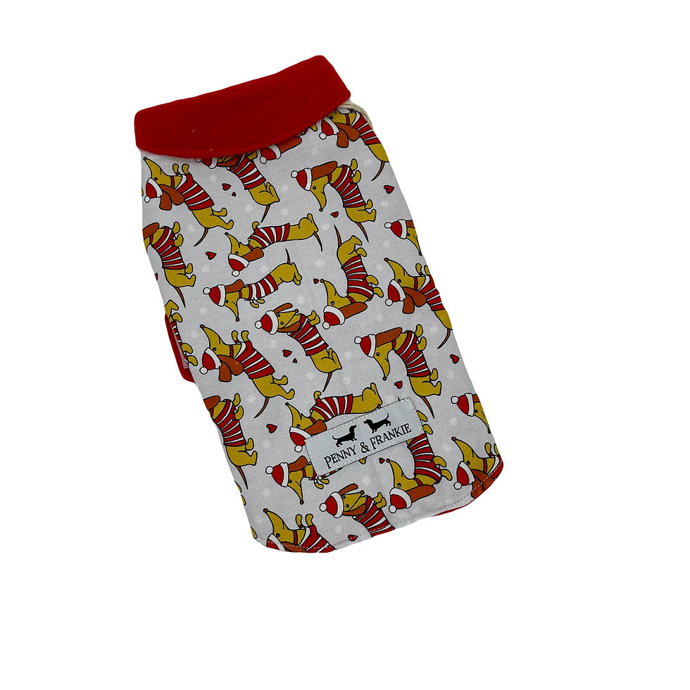 Christmas Coat Santa Hat