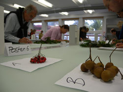 Feldbotanikkurs, Postenlauf Herbst
