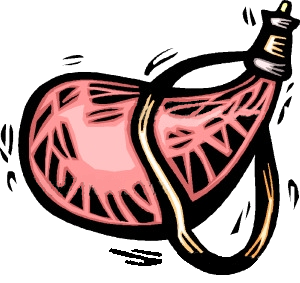 New Wine In Old Wineskins Parables 2