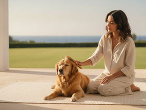 Prepara il tuo cane a una giornata di benessere senza stress 🐾