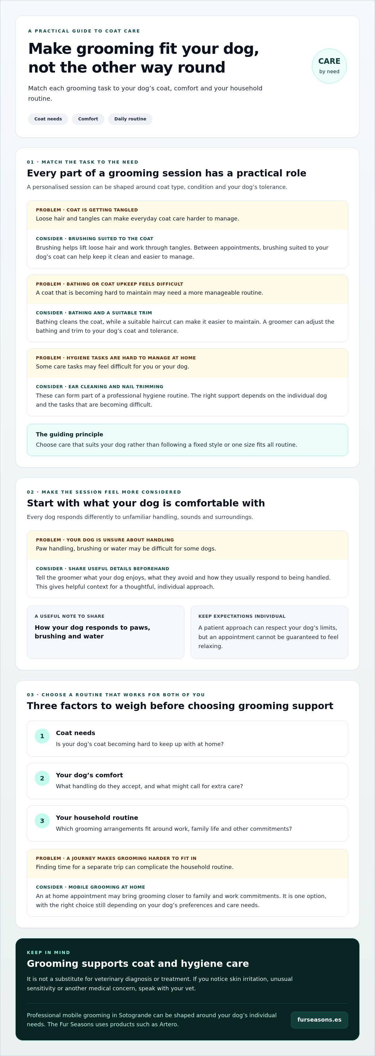 Benefits of professional dog grooming