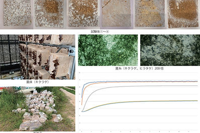 菌糸を用いた断熱材の開発と性能評価
