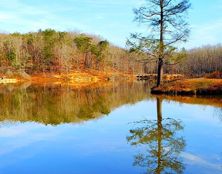 Copy of Reflection Part 1- by Jess Hall
