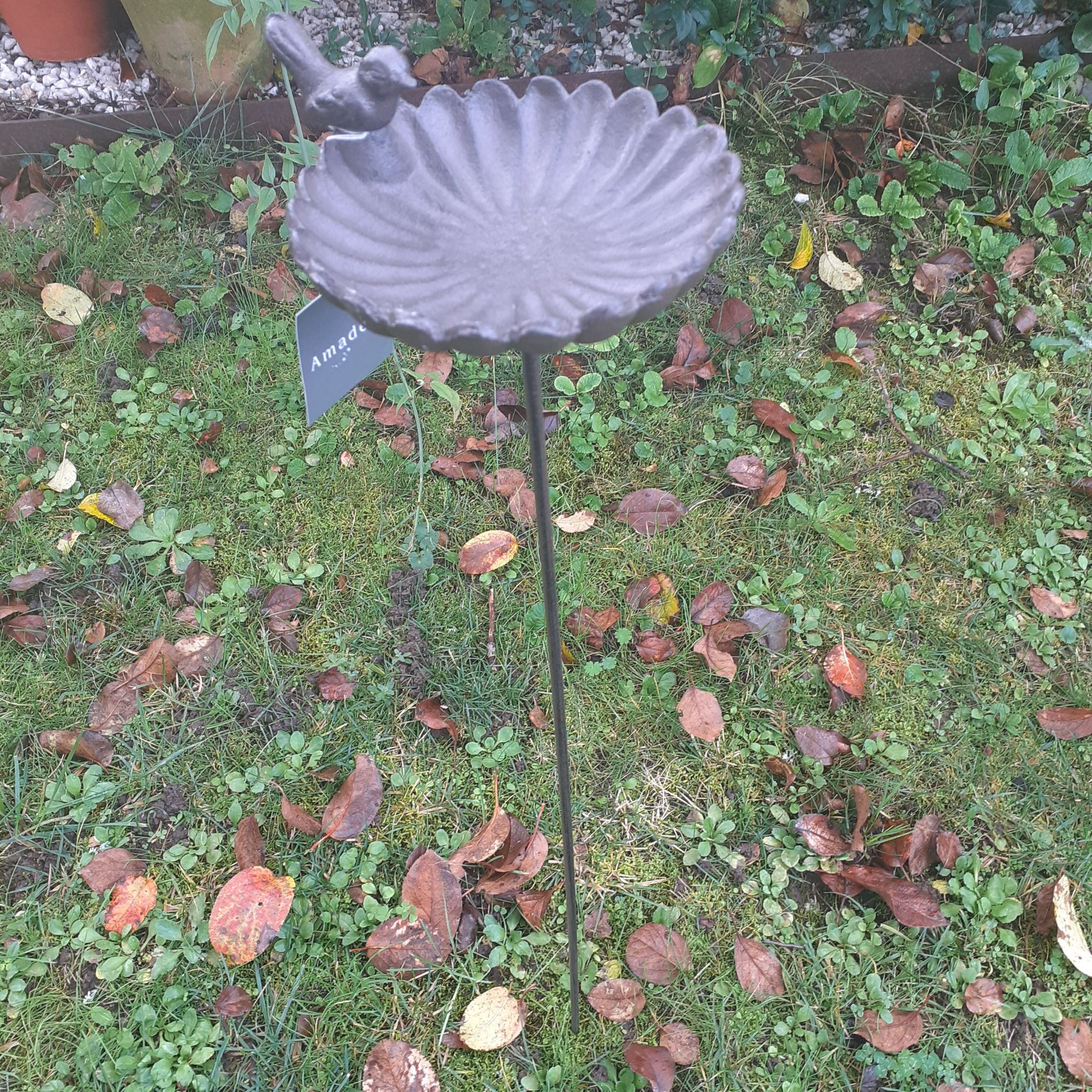 Mangeoire oiseaux