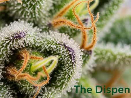 The Power of Natural Cannabis Terpenes: Achieving Smoother, Stronger Hits