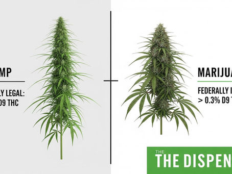 Why Are Hemp-Derived Delta-9 Products Becoming Mainstream