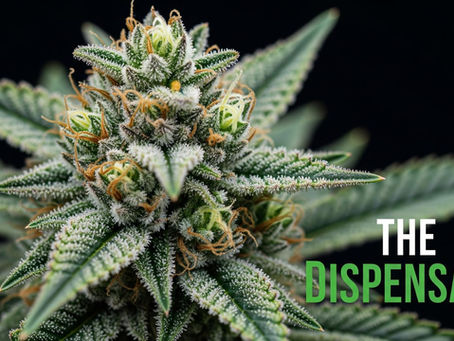 Unlocking the Secret: Why Premium THC Products Deliver a More Predictable, Enjoyable High