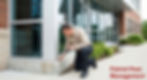 Is Monthly Pest Control Better for Commercial Properties