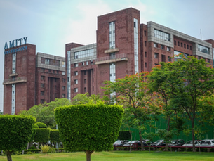 Amity University