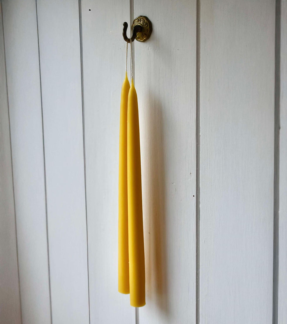 Thumbnail: Extra Long 12" Beeswax Candles