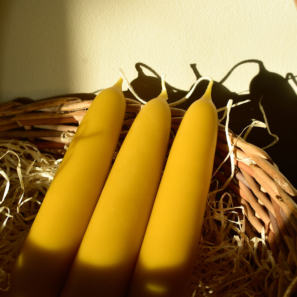 Thumbnail: Giant Stubby Beeswax Pillar Candles