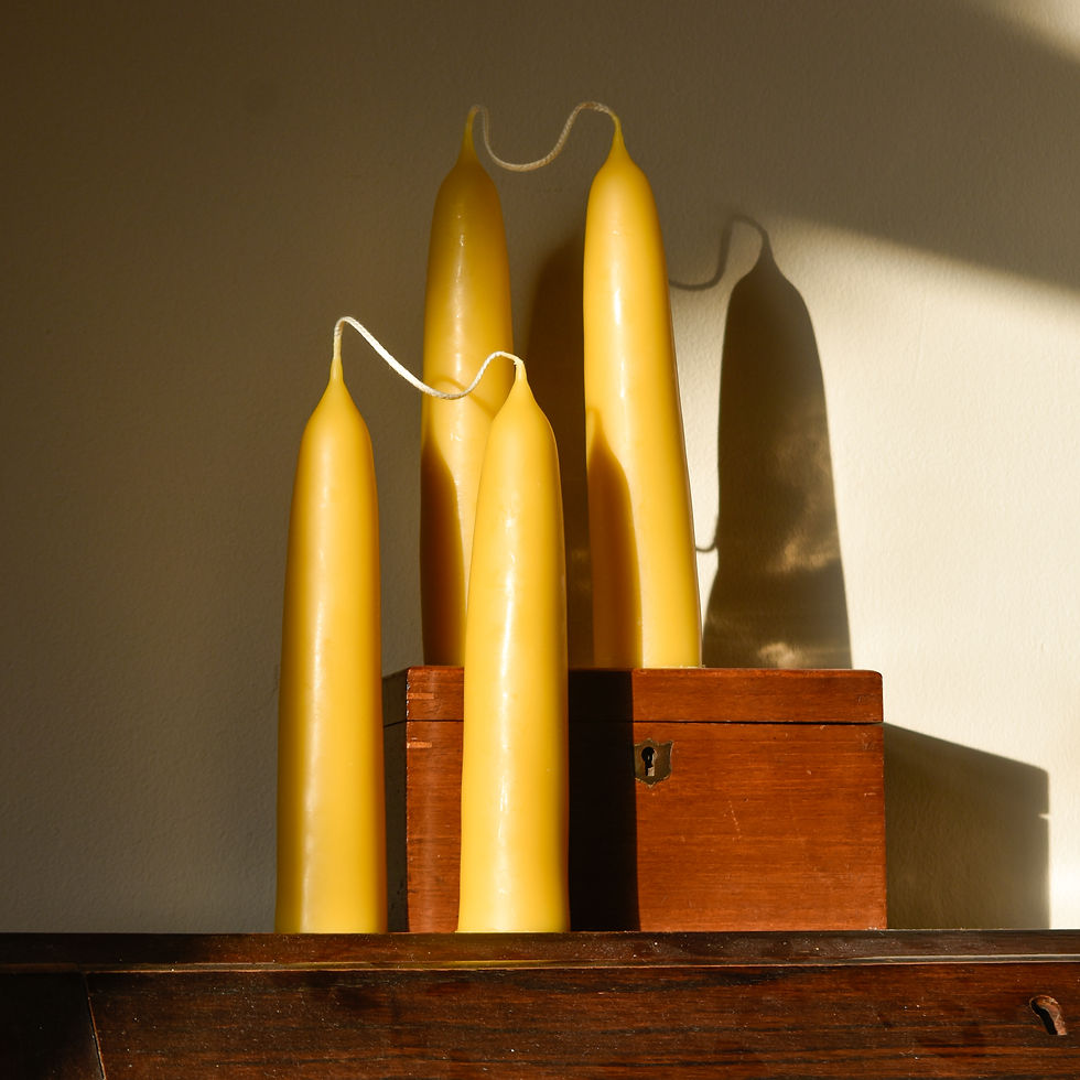 Thumbnail: Giant Stubby Beeswax Pillar Candles