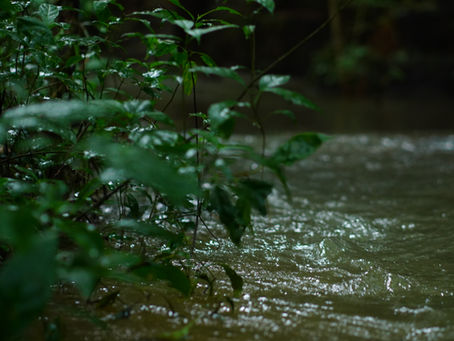 WHAT IS SUSTAINABLE LIVING?