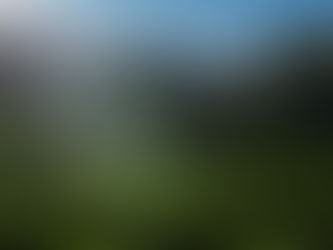 O Fim do Legado Rural