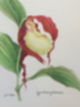 image5.jpeg