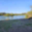 Teen/Tween Fishing at the lagoon(Younger Siblings Welcome)